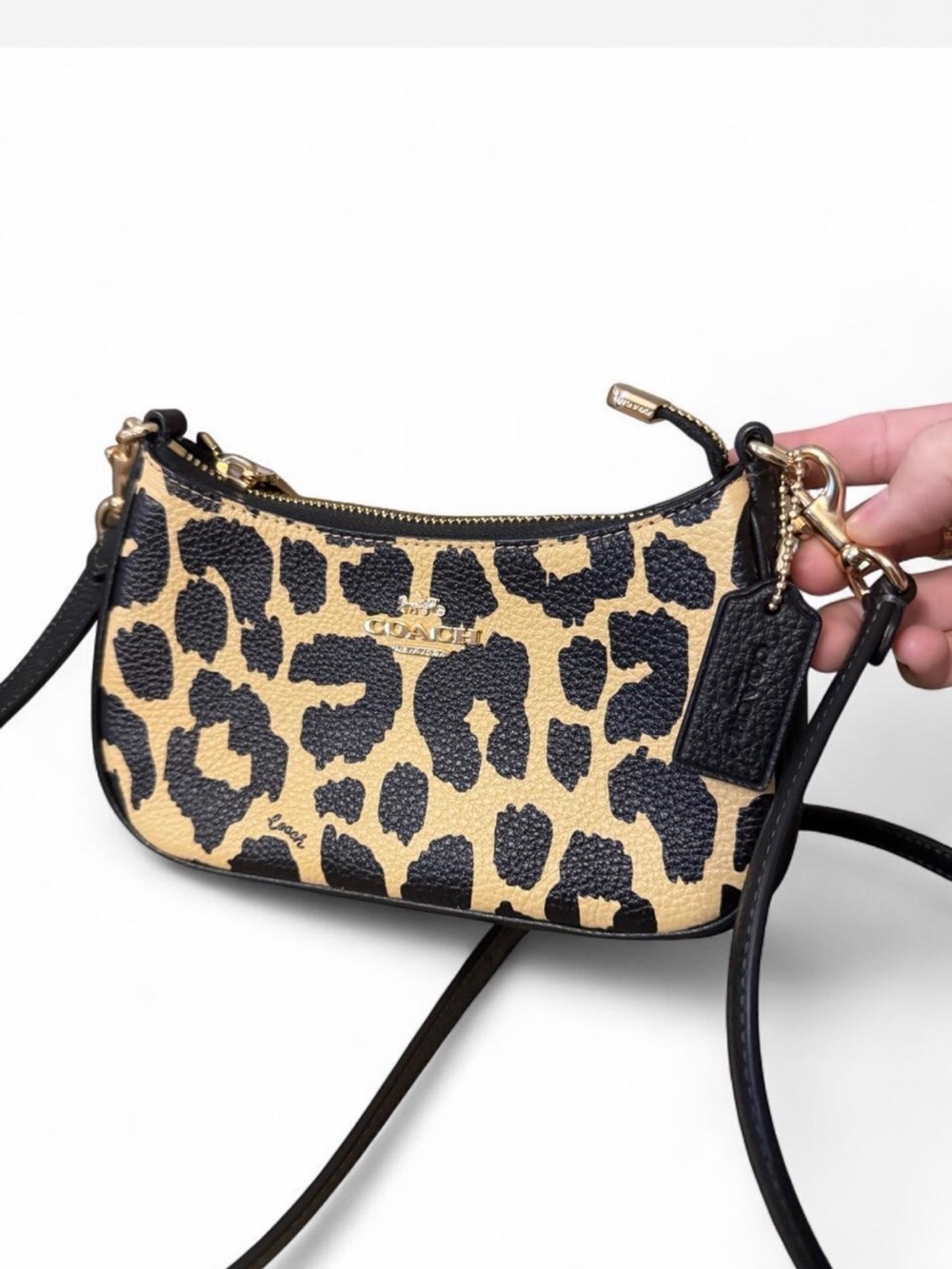 Coach Teri Mini Crossbody Bag with Leopard Print (CBG65)